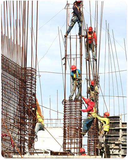Industrial Project Execution