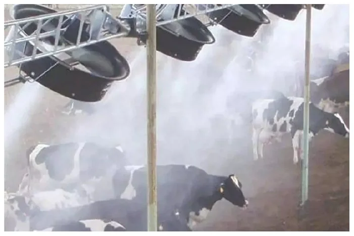 CFD - Farmhouse Mist Evaporative Cooling: misting and fan system